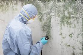 Professional Mold Removal Services in Crockett, TX